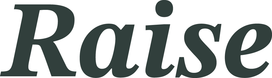 株式会社Raise